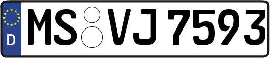 MS-VJ7593