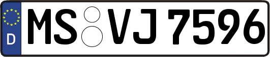 MS-VJ7596