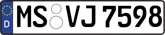 MS-VJ7598