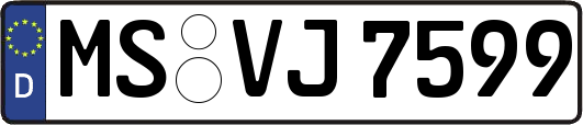 MS-VJ7599