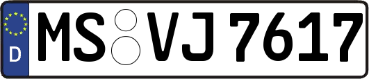 MS-VJ7617
