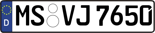 MS-VJ7650