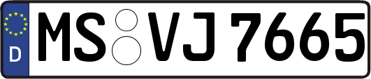 MS-VJ7665