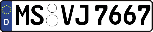 MS-VJ7667
