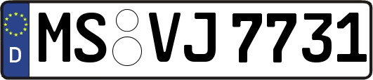 MS-VJ7731