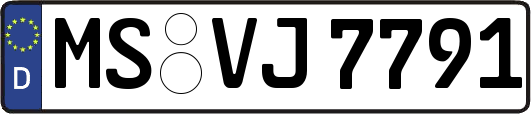 MS-VJ7791