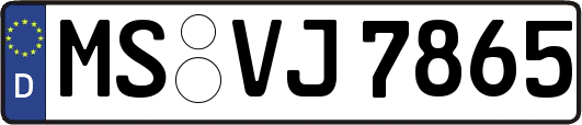 MS-VJ7865