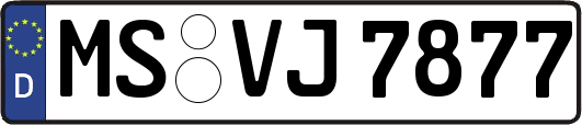 MS-VJ7877