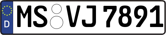 MS-VJ7891