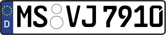 MS-VJ7910