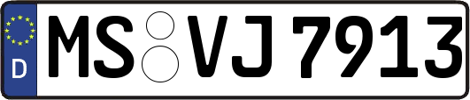 MS-VJ7913