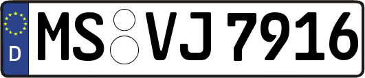 MS-VJ7916