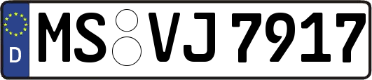 MS-VJ7917