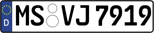 MS-VJ7919