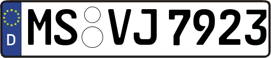 MS-VJ7923