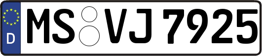 MS-VJ7925