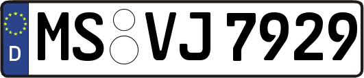 MS-VJ7929