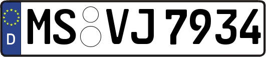 MS-VJ7934