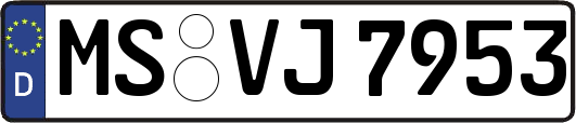 MS-VJ7953