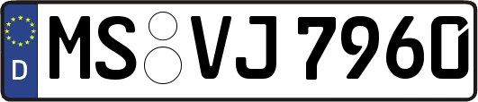 MS-VJ7960