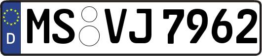 MS-VJ7962