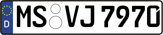 MS-VJ7970