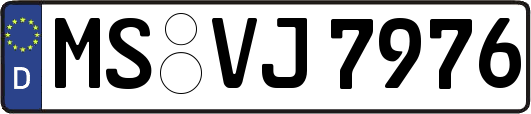 MS-VJ7976