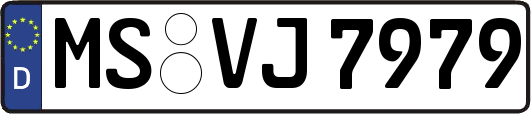 MS-VJ7979