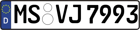 MS-VJ7993