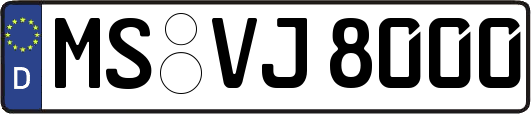 MS-VJ8000