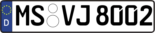 MS-VJ8002