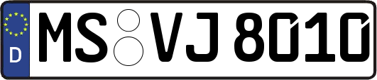 MS-VJ8010