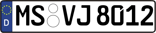 MS-VJ8012