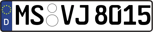 MS-VJ8015