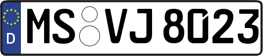MS-VJ8023