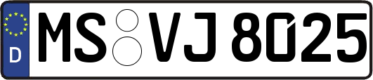 MS-VJ8025