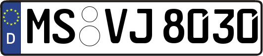 MS-VJ8030