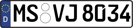 MS-VJ8034