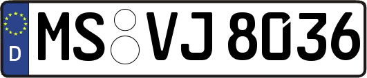 MS-VJ8036