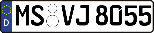 MS-VJ8055