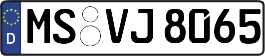 MS-VJ8065