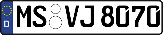 MS-VJ8070