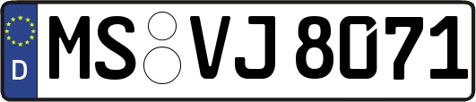 MS-VJ8071