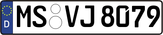 MS-VJ8079