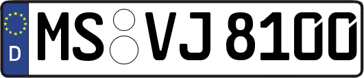 MS-VJ8100