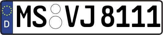 MS-VJ8111