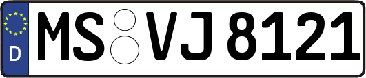 MS-VJ8121