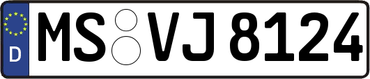 MS-VJ8124