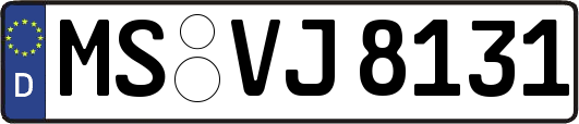 MS-VJ8131