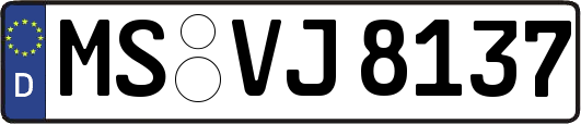MS-VJ8137